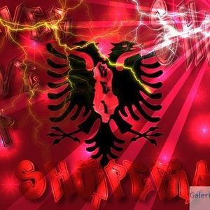 Meet your Posher, Jo-ann